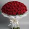 Букет 101 Красная роза Блэк Мэджик в Коростово