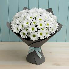 Букет цветов из:  Хризантемы #REPLACE_PRED# Коростово