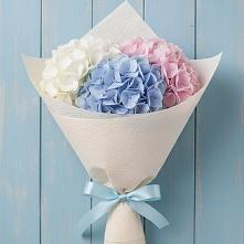 Букет цветов из:  Гортензия в Коростово