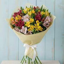 Букет цветов из:  Альстромерии в Коростово