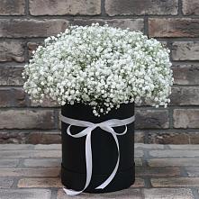 Цветочная композиция из Гипсофила в шляпной коробке #REPLACE_PRED# Коростово