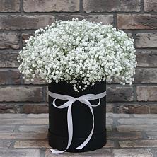 Цветочная композиция из Гипсофила в шляпной коробке в Коростово