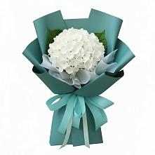 Букет цветов из:  Гортензия в Коростово